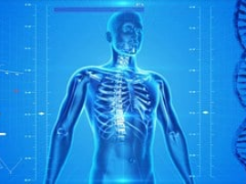 FEMINA SAPIENS:UNA HISTORIA DE LA EVOLUCION HUMANA ENFOCADA