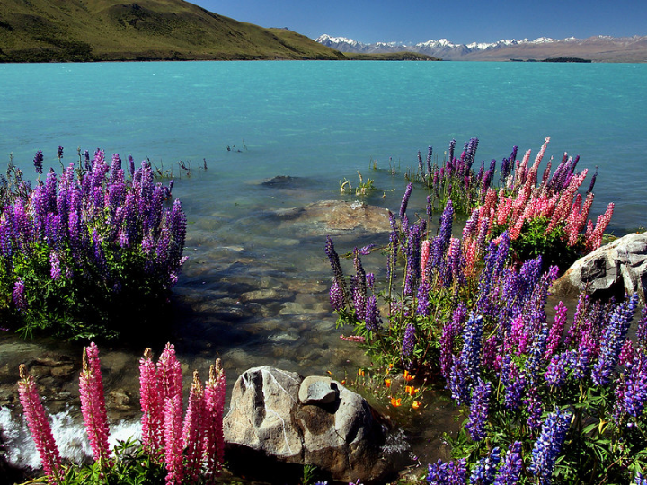 analisis del equipo true north face los mejores productos para deportes de invierno