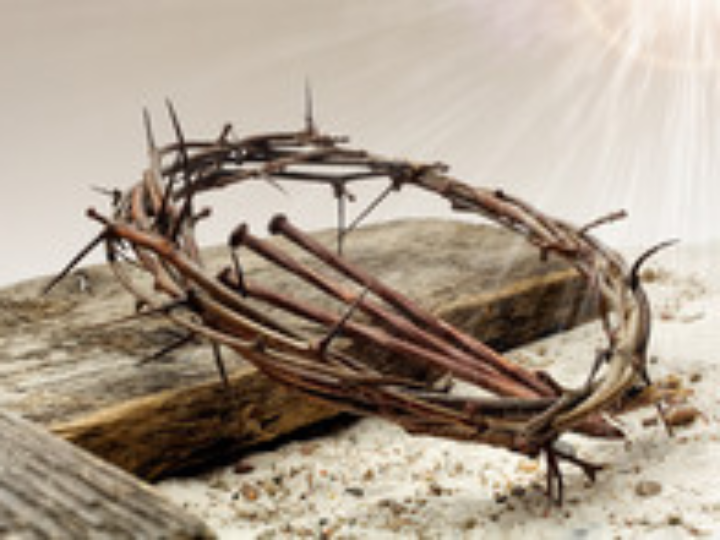 analisis detallado salewa ms crow gtx botas de montana para la maxima exigencia