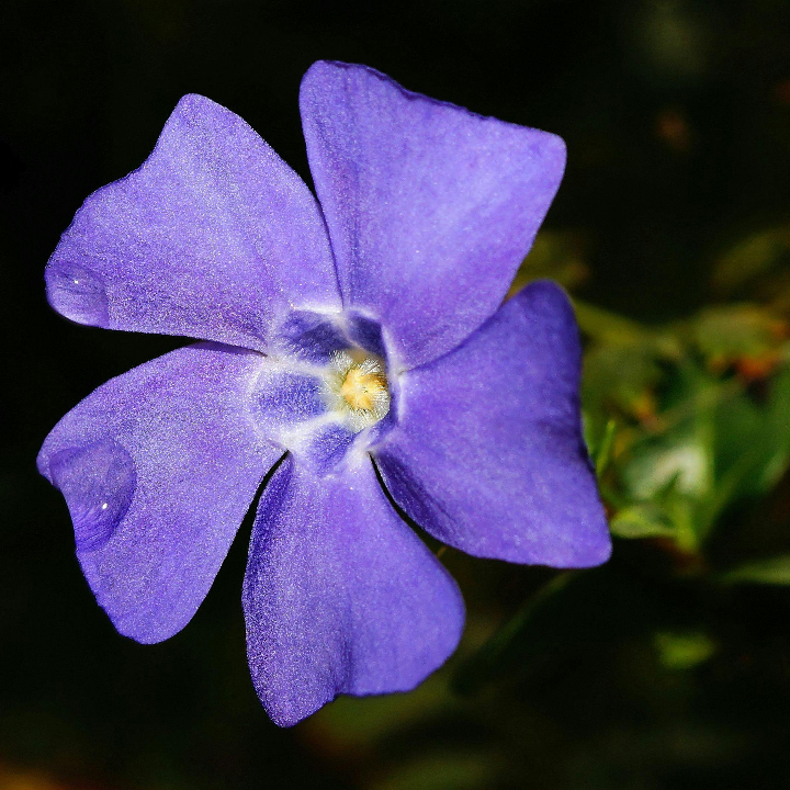 analisis five ten hiangle pro la mejor opcion para tus escaladas en deportes de invierno