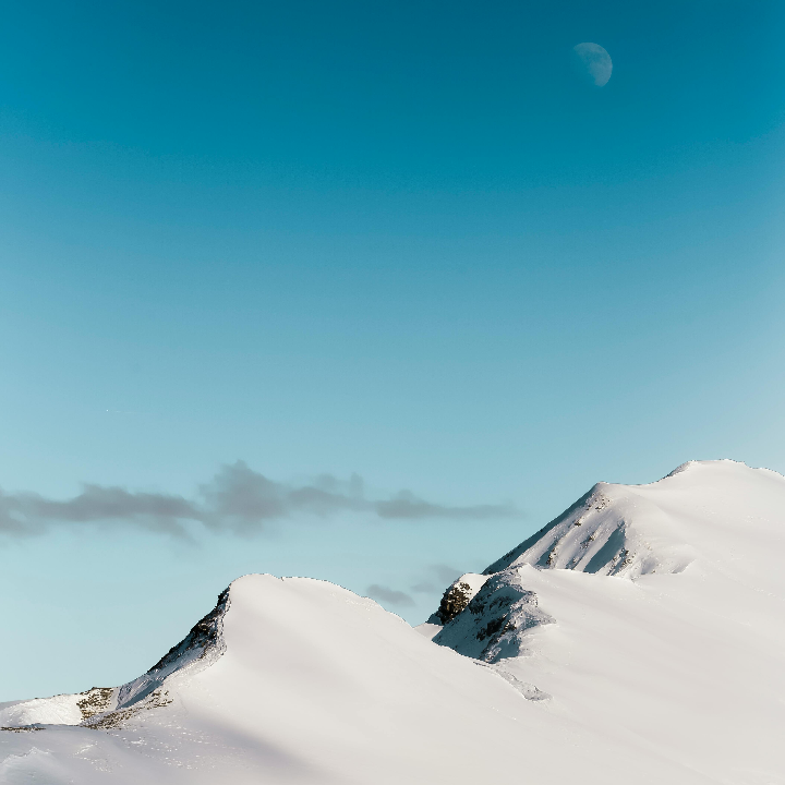 analisis y comparativa altos de tamaron 2021 descubre un vino excepcional