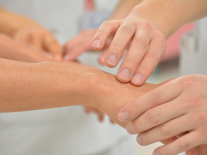 beneficios del hypoclorine para el cuidado de mascotas analisis y comparacion de los mejores productos