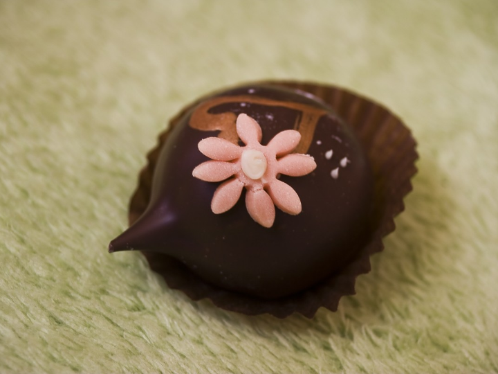 bodyplus chocolate 850 gr