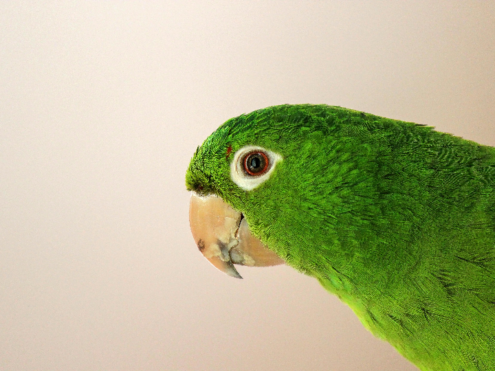 cata md 6106 x manual