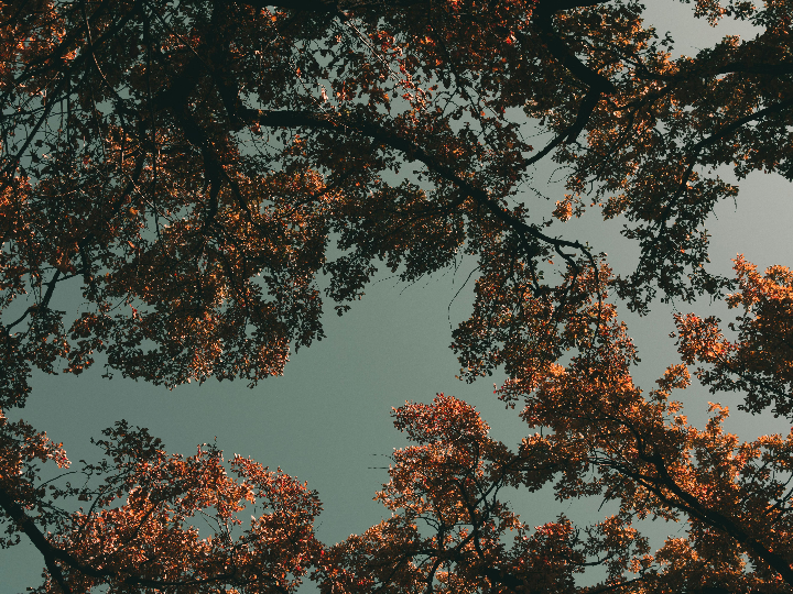 catalogo aslak maquinaria industrial