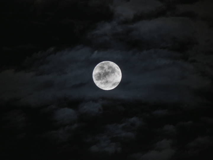 comida para llevar en bar luna