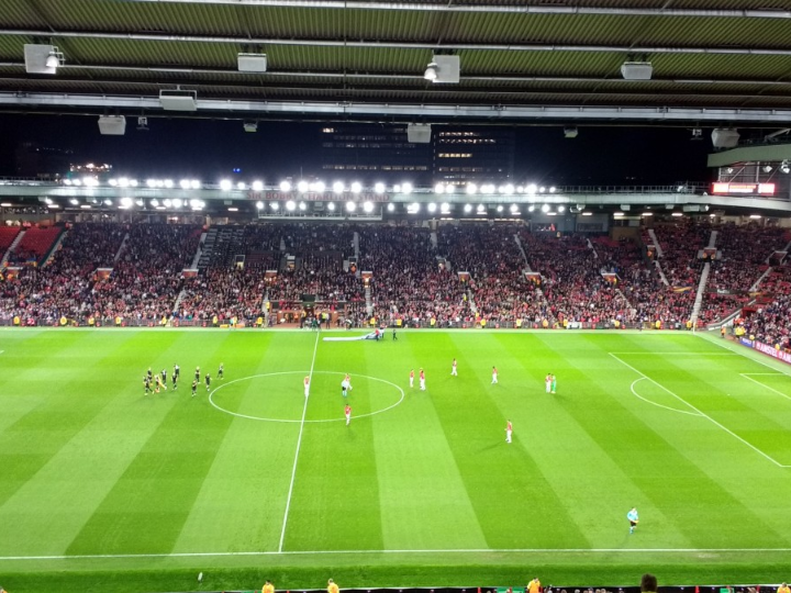 complejo peptidico con sacha inchi