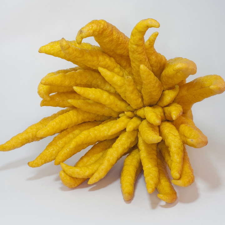 conoces todos los usos del aceite de manzanilla