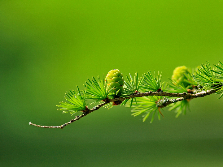 cuando caducan las colonias y los perfumes