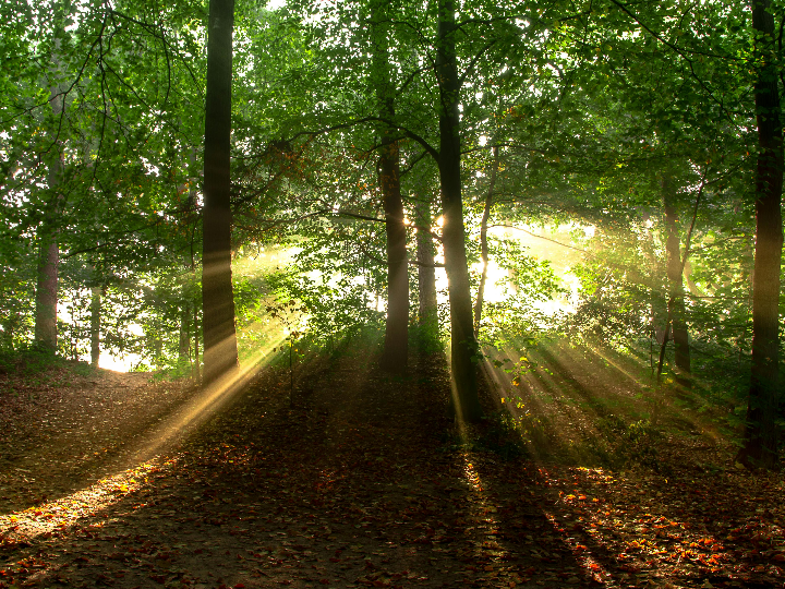 cuidado labial natural y ecologico