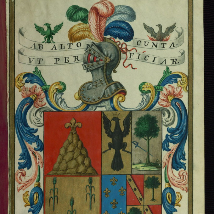 curtidos gilabert el secreto detras de los accesorios de equitacion de cuero y herramientas artesanales