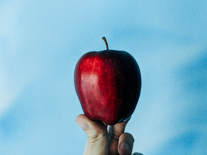 descubre el encanto culinario del palacio del pollo en mancha real iuna experiencia gastronomica imperdible