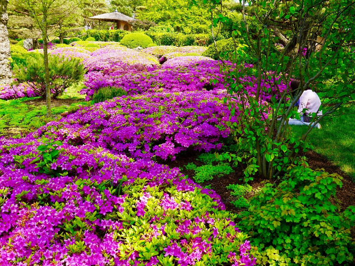 descubre la manguera de riego para jardin usos y donde comprarla en ferreco com