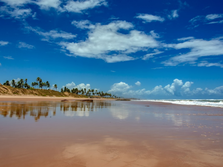 descubre por que arcebio es la nueva joya de la alimentacion internacional