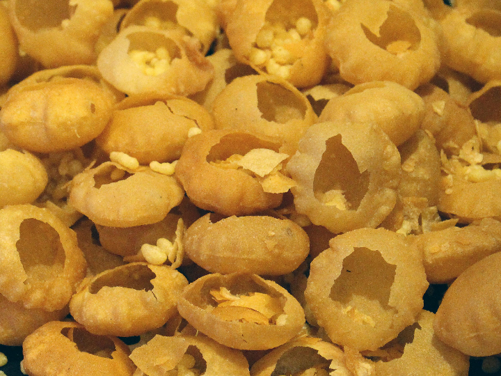descubriendo el delicioso panipuri de makro analisis positivo de esta joya de la gastronomia internacional