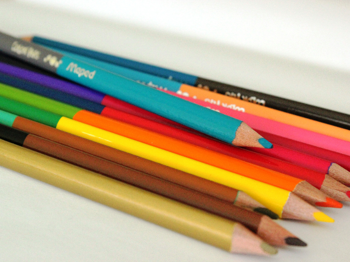 el arbol de lapiz de cuidados poda y propagacion