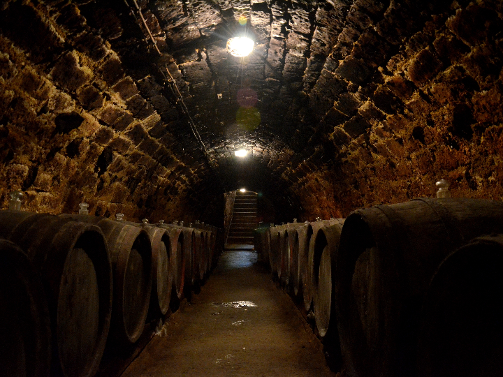 el envejecimiento del vino una historia de tiempo aroma y sabor