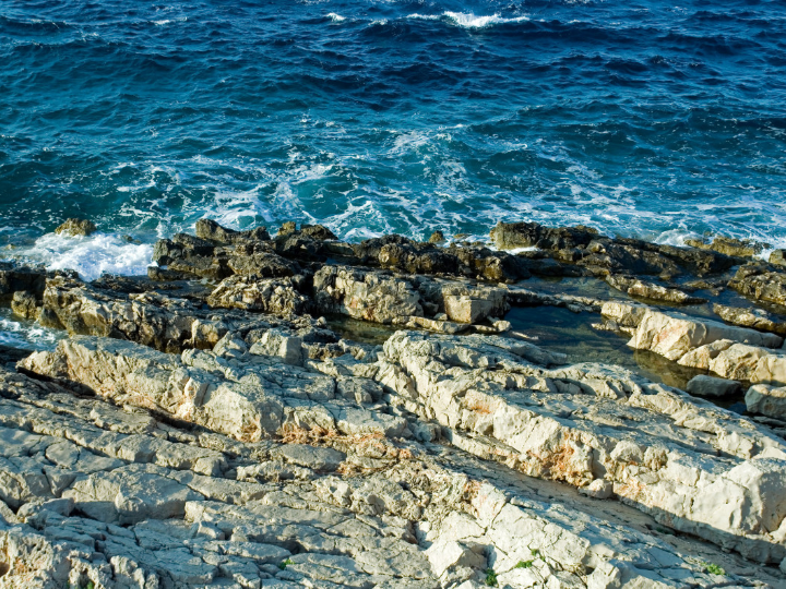 el rodaballo una eleccion premium para los amantes del pescado