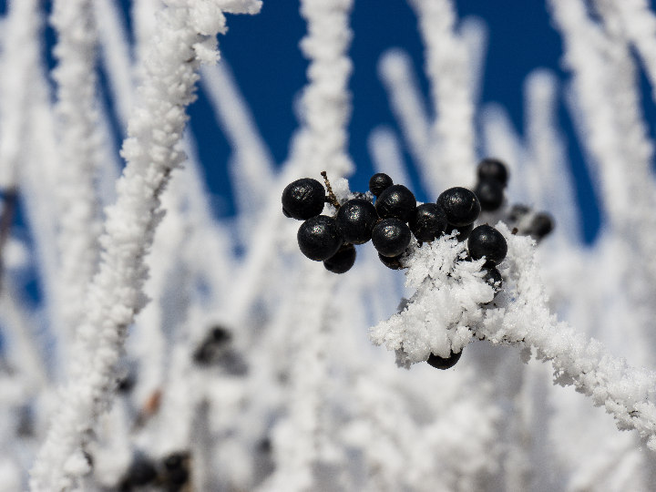 es necesario descongelar una heladera no frost