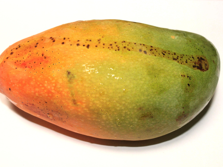 esponja con mango en mercadona para limpieza eficiente