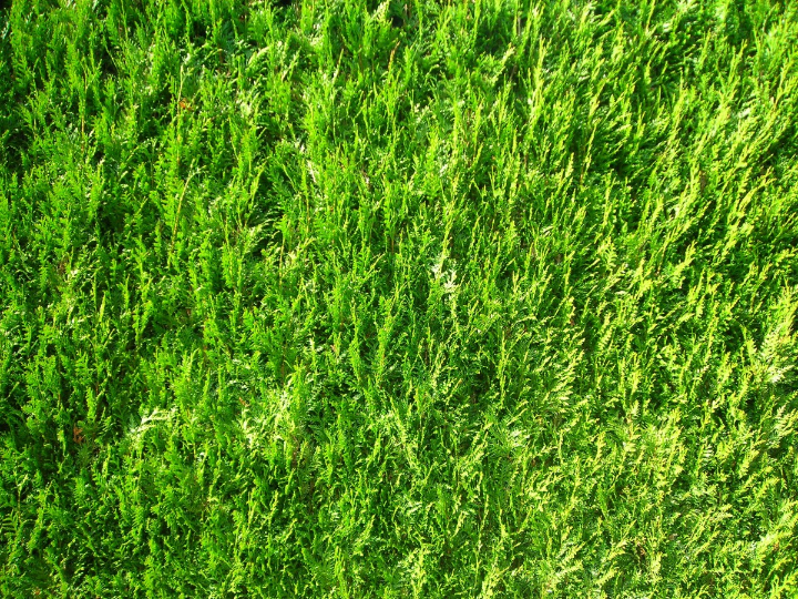 fabricamos y distribuimos cesped artificial en toda espana