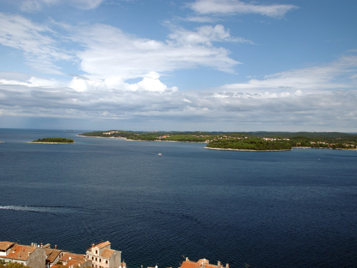 ferrolan excelencia en ardex cementos