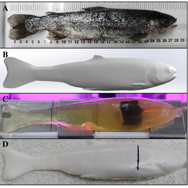 fins out remover tool