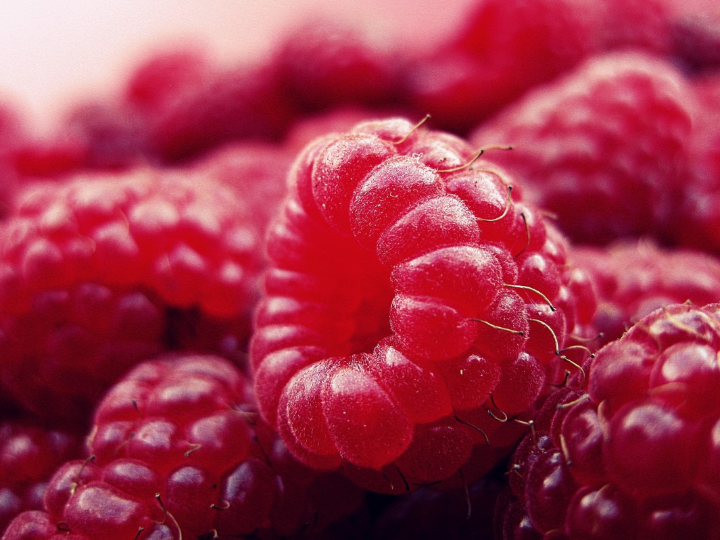 gelificantes y espesantes naturales