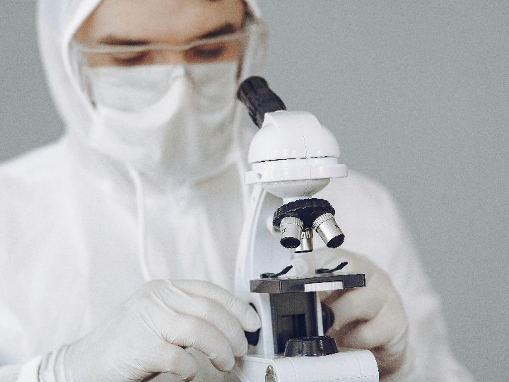 hondashi analisis de un imprescindible en la cocina asiatica