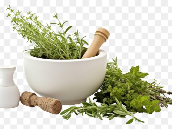 hotel aparthotel bcl levante lux benidorm