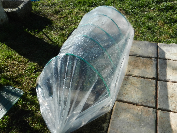 invernadero de jardin tipo tunel en pvc de 200 x 300 x h180 cm para flores y plantas orto l
