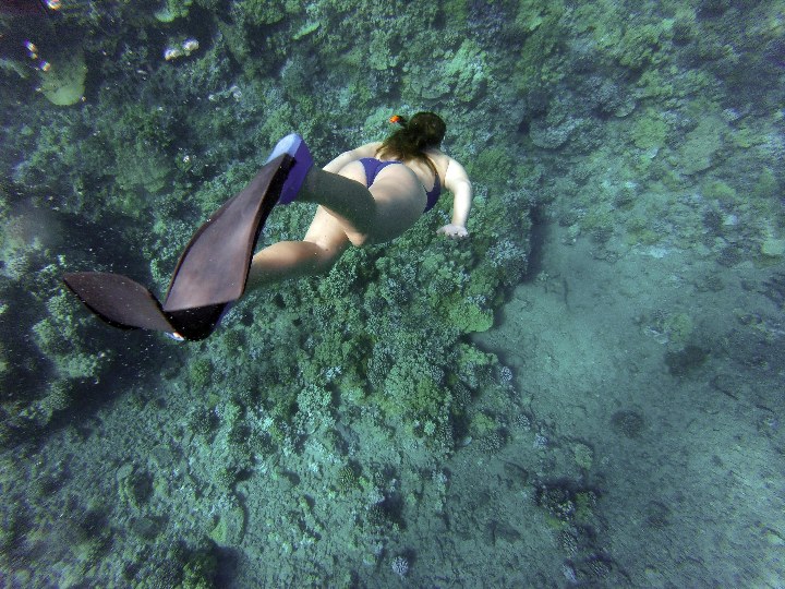 islas surin el mejor snorkel de tailandia informacion util
