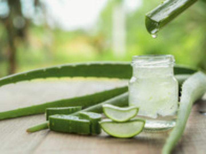 jason crema aloe vera 84 113g