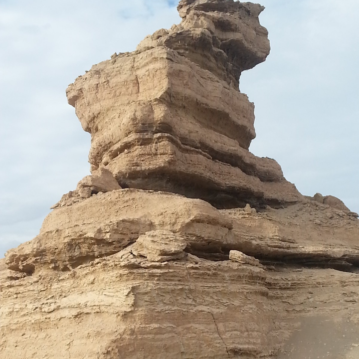 la roche posay iso urea md baume psoriasis 100ml