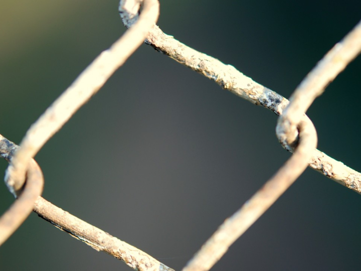 la trampa de las tierras brunas