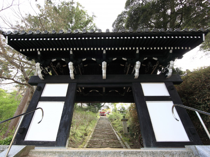 los mejores cortinados japoneses analisis y comparativa de productos asiaticos de calidad