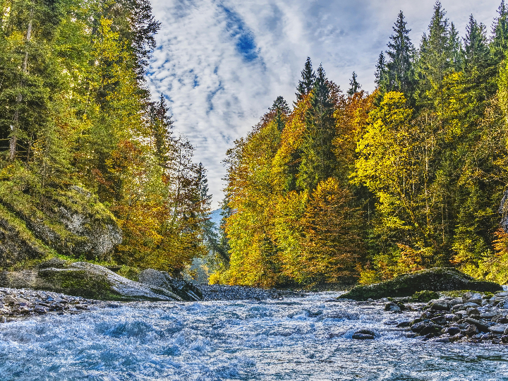 medela protector de pezones 2 unidades