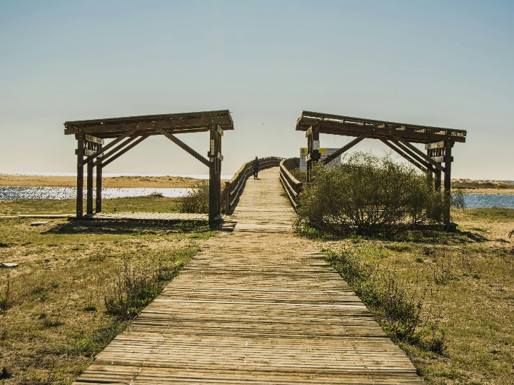 mejores hamburguesas en isla cristina cerca de mi