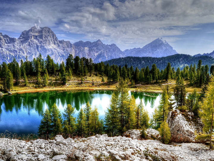 natures plus hemaplex 60comp masticables