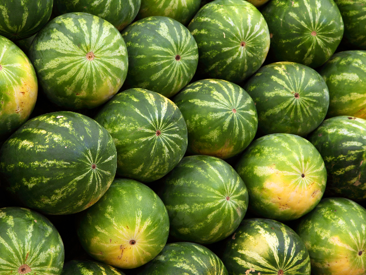 pepinillos gigantes una delicia internacional para los amantes de lo exotico