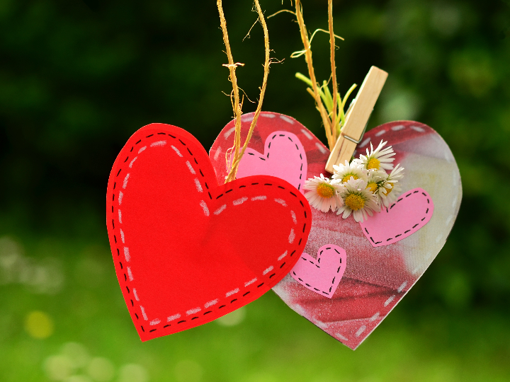 pinza flor para el pelo 2 unidades