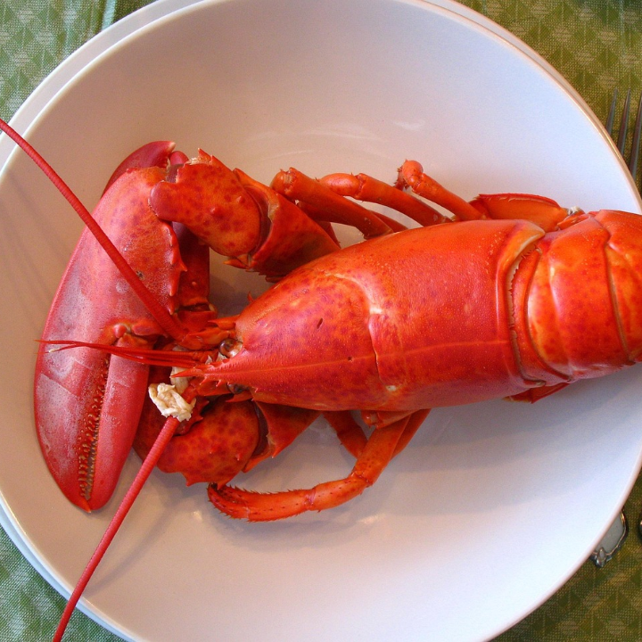 principes de maine reyes de nueva inglaterra