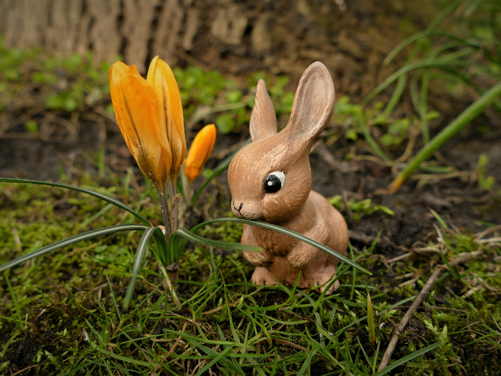 rabo de toro mercadona la receta perfecta