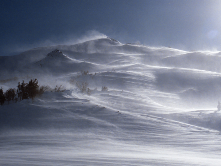 resena endless winter paleoamericanos