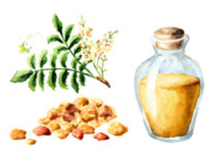 resina de incienso 100 organico