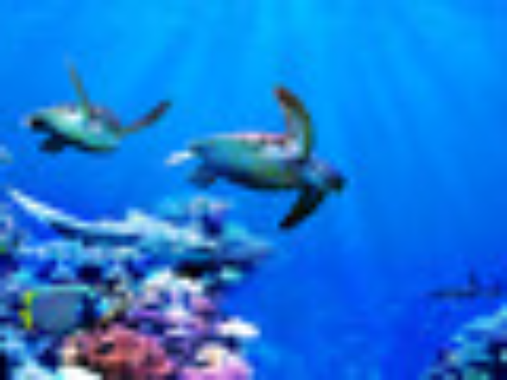 sensor de temperatura de aire de entrada sensor iat