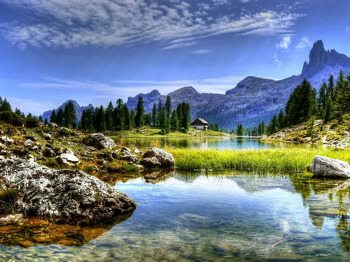 shop high quality nature made supplements online in spain