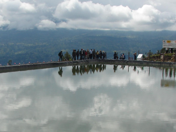 the natural impulse cat sterilized