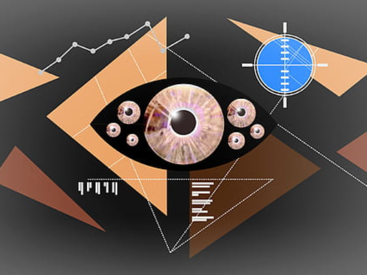 tina en gatos identificacion sintomas y tratamiento