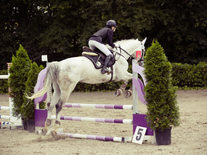 toda la adrenalina en tus pies analisis del scott kinabalu rc 3 para deportes de montana